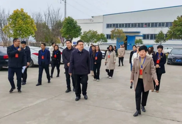 宜陽縣人大代表一行蒞臨中侖包裝